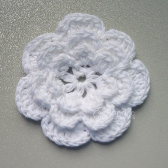 Product Photo